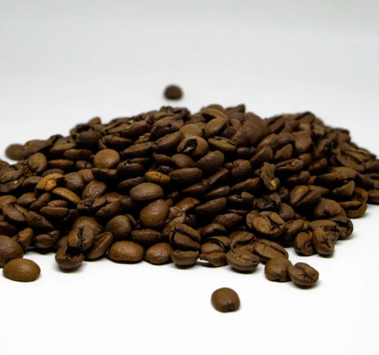 Cultivo de café en las alturas de Echarate, Cusco