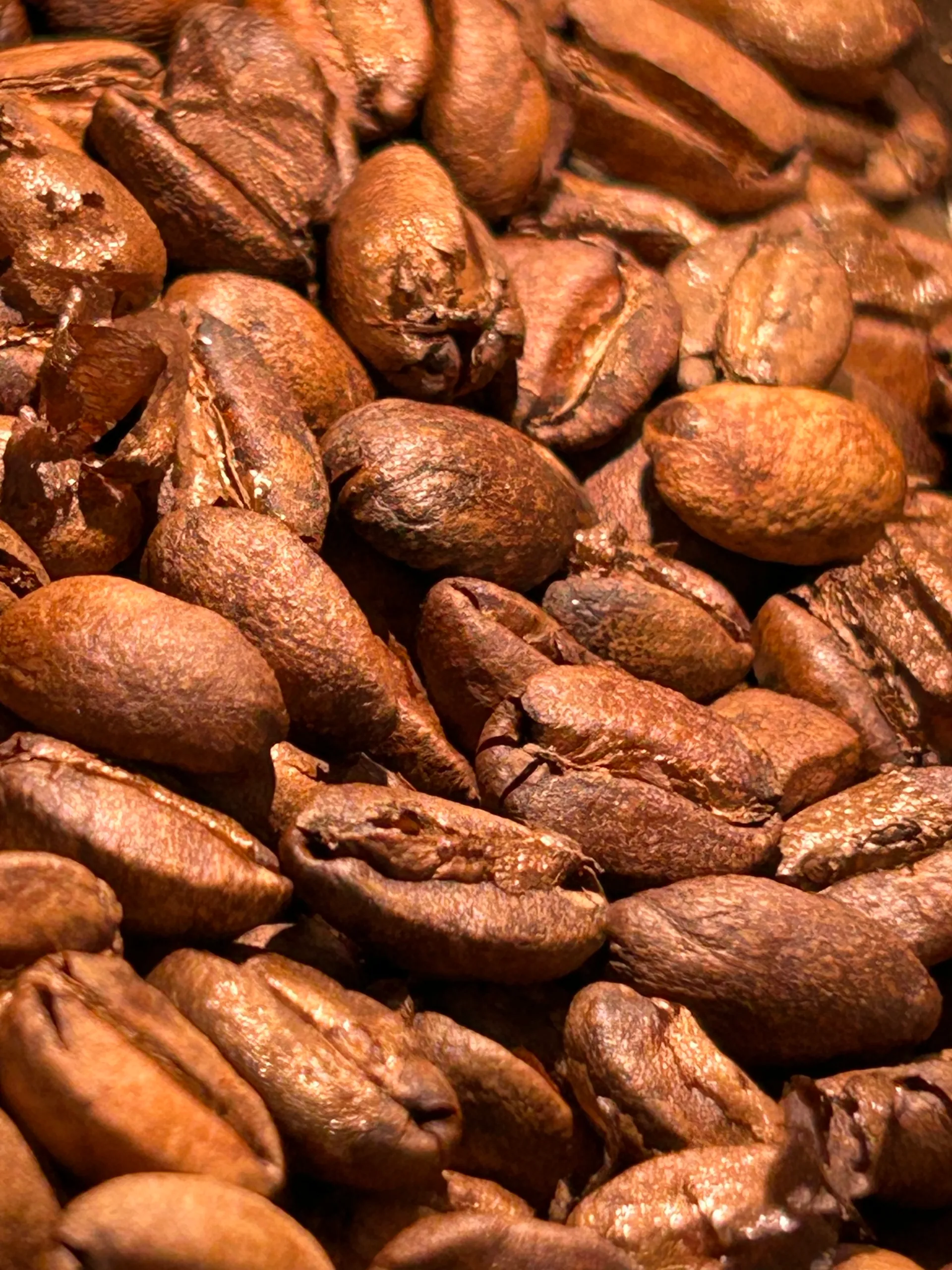 Proceso artesanal de tostado de café de especialidad Pie de Monte en tostador de tambor