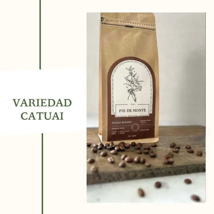 Café Catuai Pie de Monte