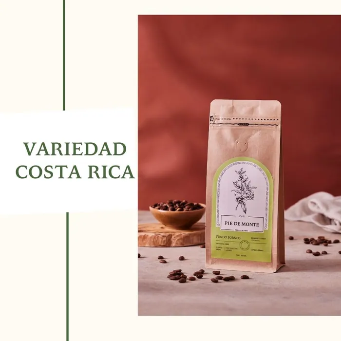 Café Costa Rica Pie de Monte