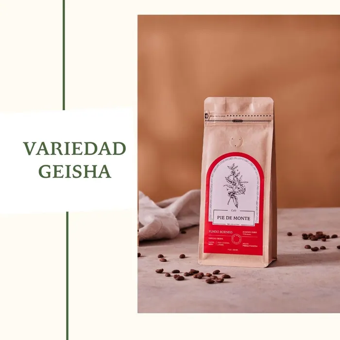 Café Geisha Pie de Monte